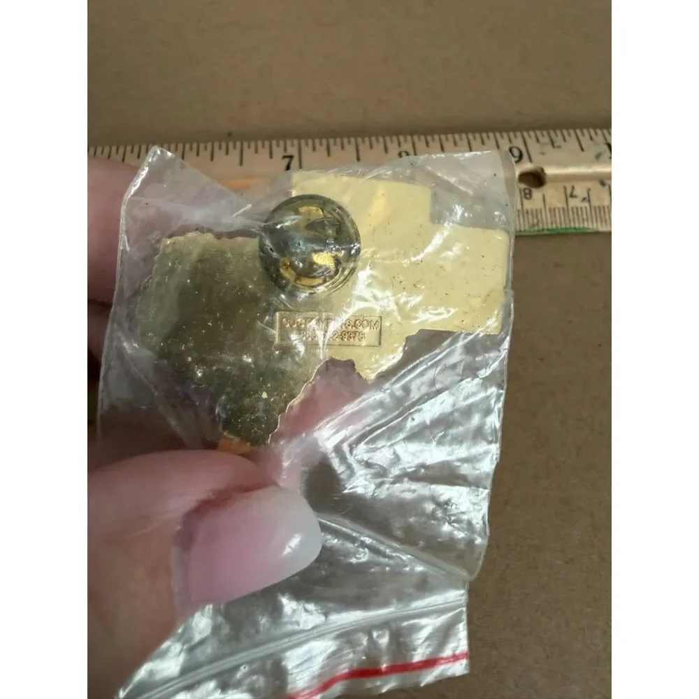 Texas Science Matters National Science Teachers Association Pin